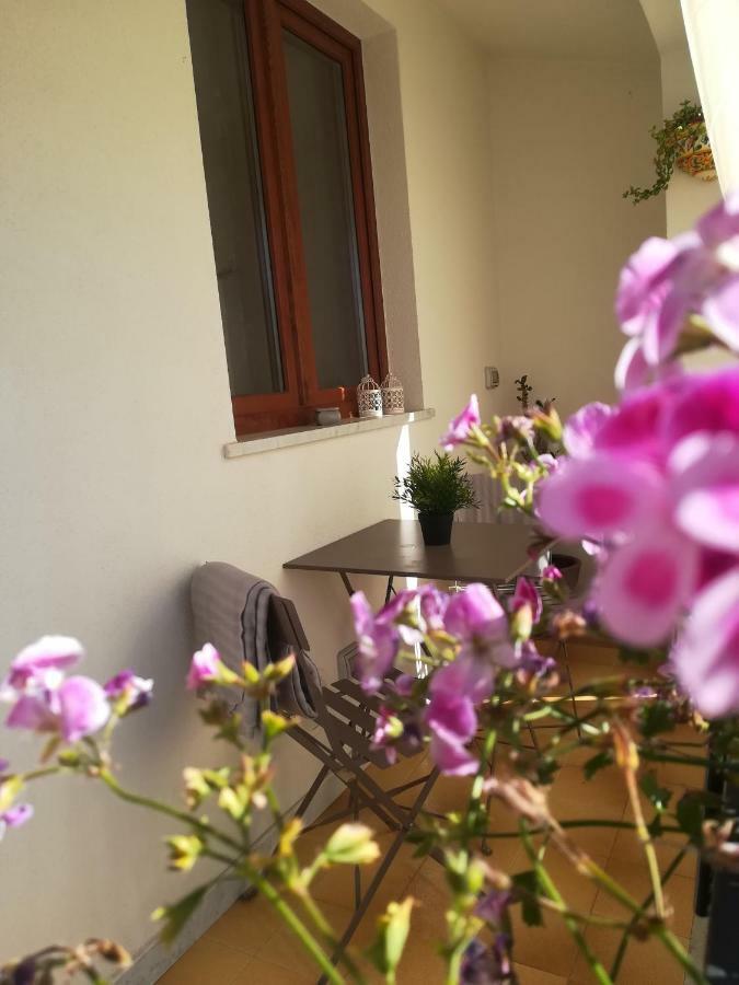 Casa Nicole Διαμέρισμα Castelbuono  Εξωτερικό φωτογραφία